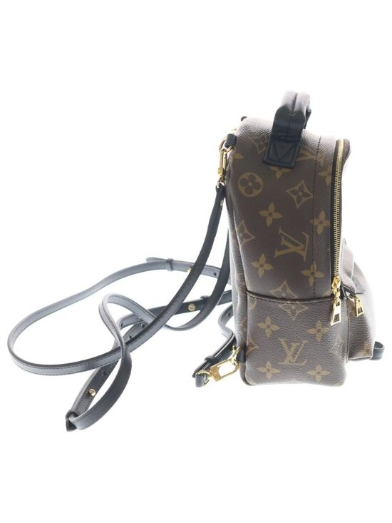 Louis Vuitton Palm Springs Backpack Mini Monogram Leather Brown main image 6